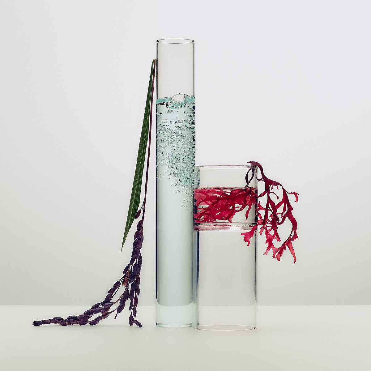 DewySkinCream-Aug26-Ppage-Ingredients_0b4fa86e-a7a1-4820-b720-e51948f2fe92.jpg